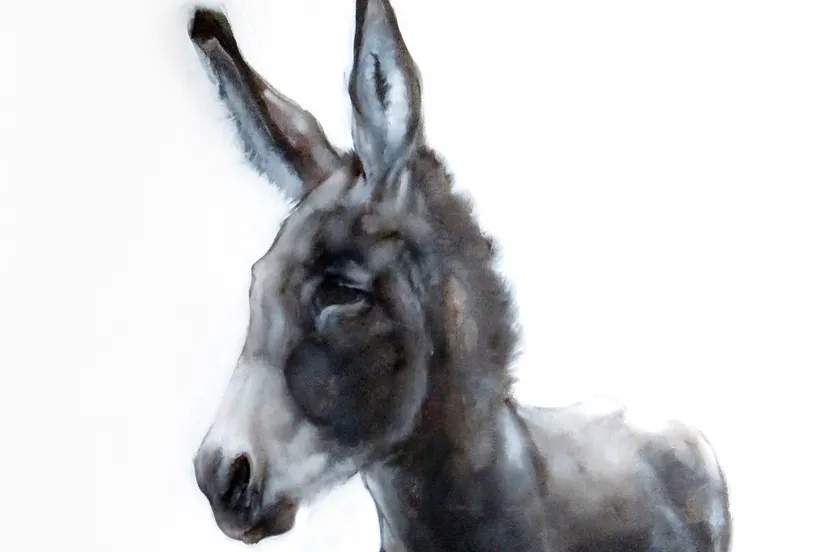 jasper hulshoff pol ezel 2023 100x80cm 1