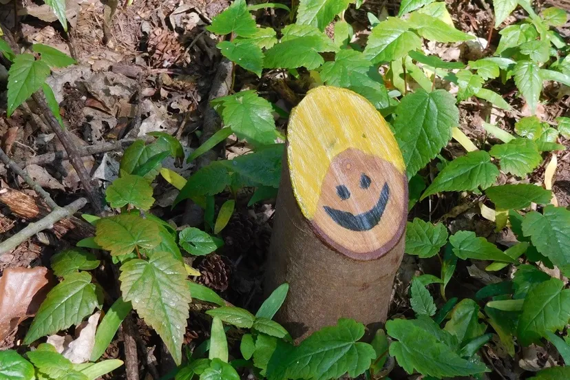 kabouter voorjaarsbos