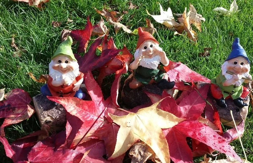 kabouters van de veluwe