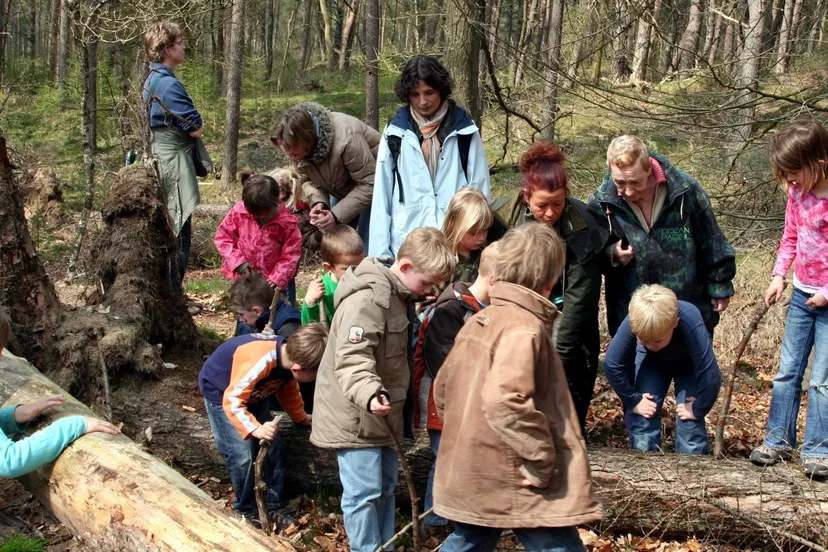 kabouterwandelingede