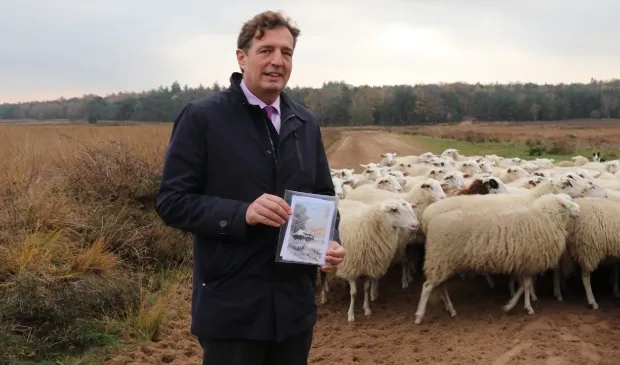 kerstkaart schaapskudde