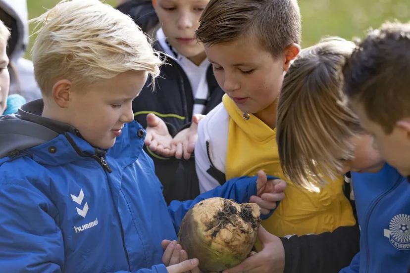 keuken kanjes foodvalley
