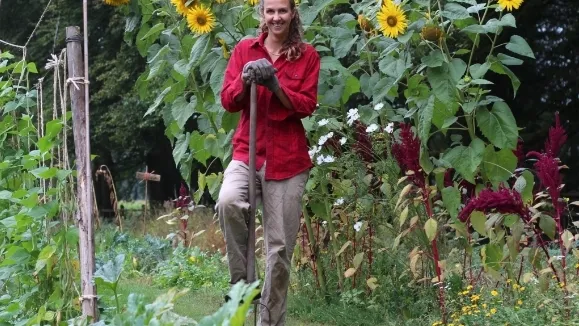 klarien klingen in tuinderij de wilde peen de wilde peen