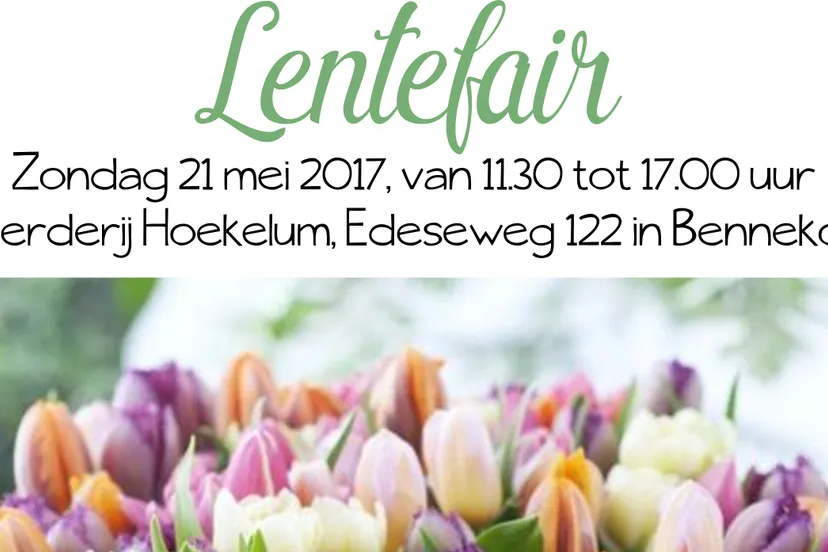 lentefair zondag 21 mei 2017