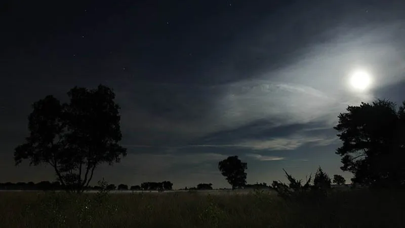 midzomernachtwandeling1