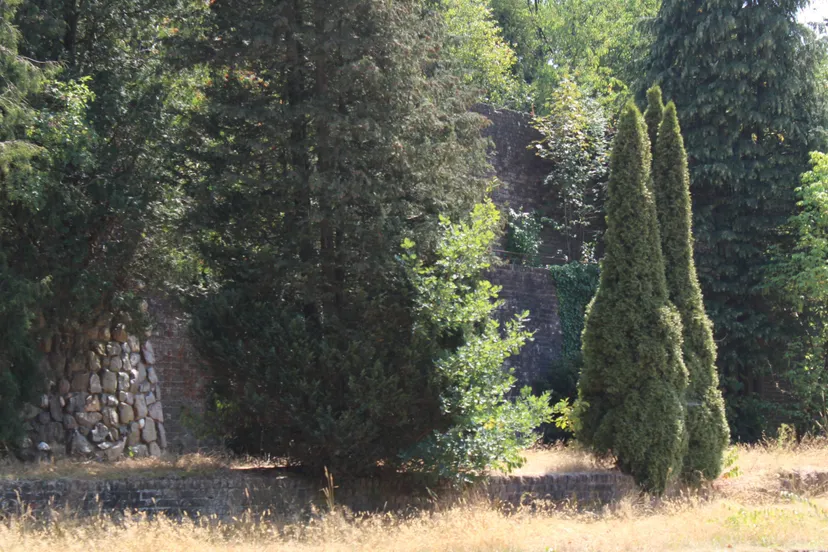 muur van mussert edenieuwsnl