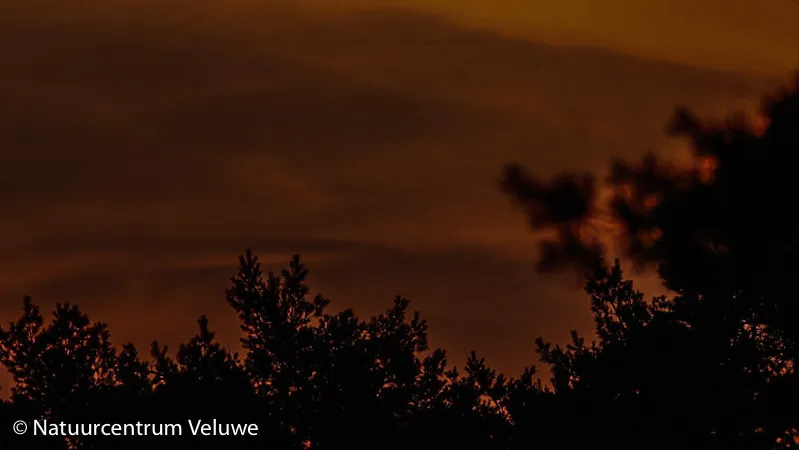 nacht van de nacht ede