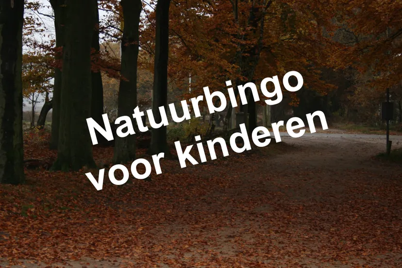 natuurbingo nc veluwe