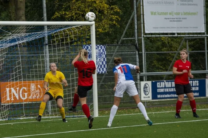 nummer 2 geert niewenhuis