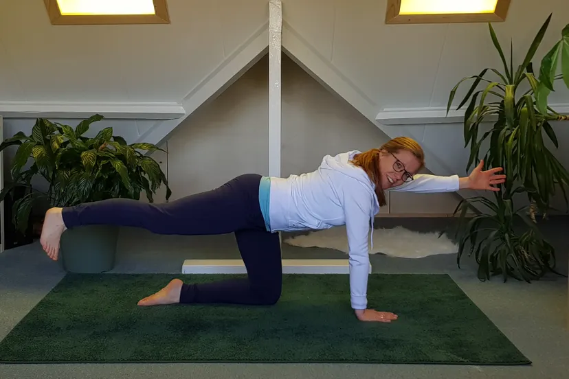 op zolder aan de yoga evenwichts kat