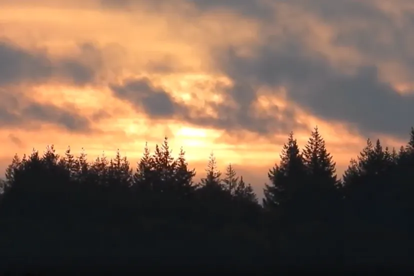 opgaande zon ginkelse heide 2019 okt michael de vries