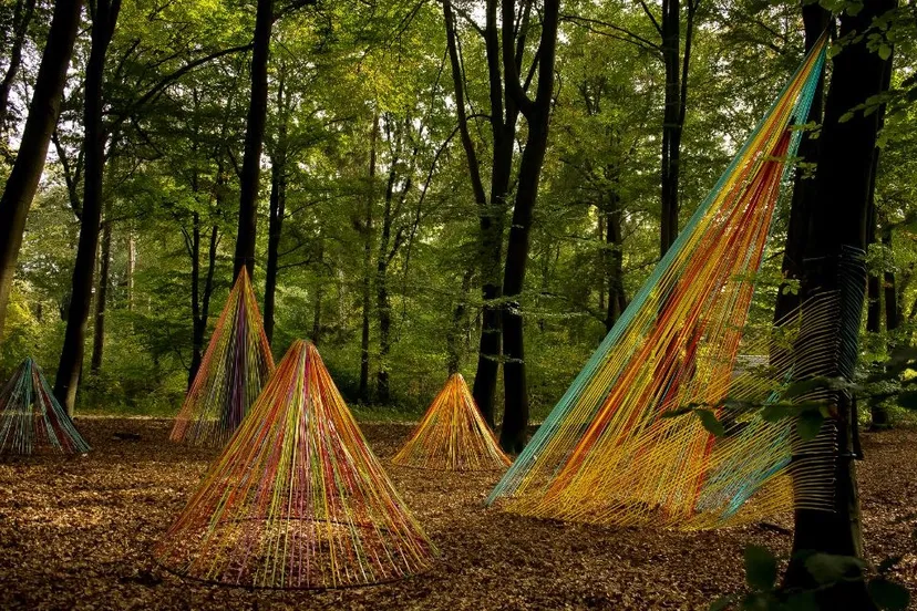 pb064 woest en bijster 2klein