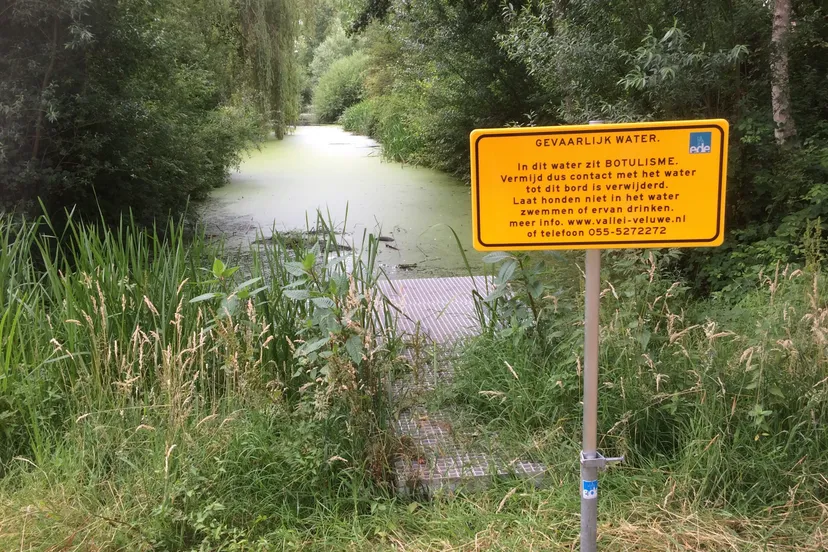 pb081 botulisme en blauwalgen in sloten veldhuizen