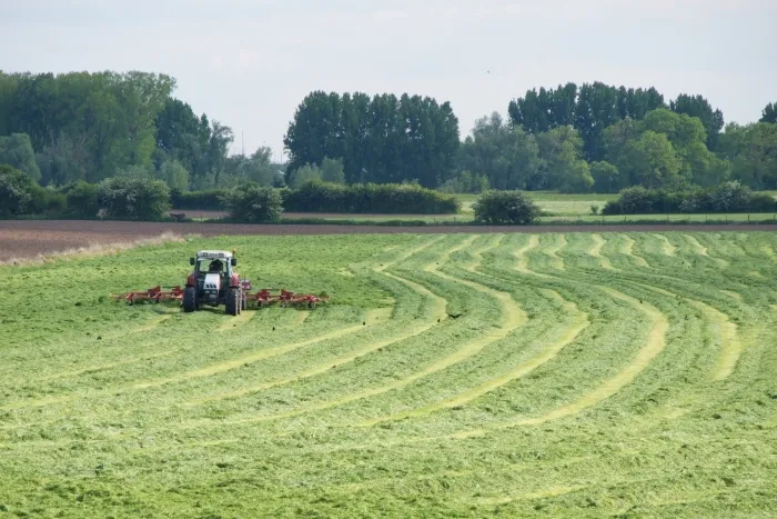 platform veilig ondernemen oost nederland