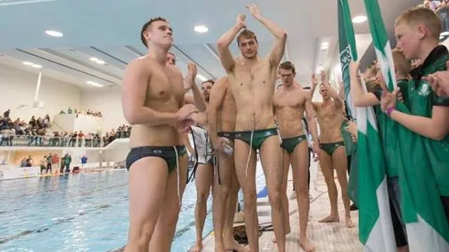 polar bears facebookfoto