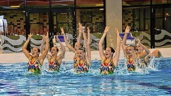 polar bears synchroomzwemen