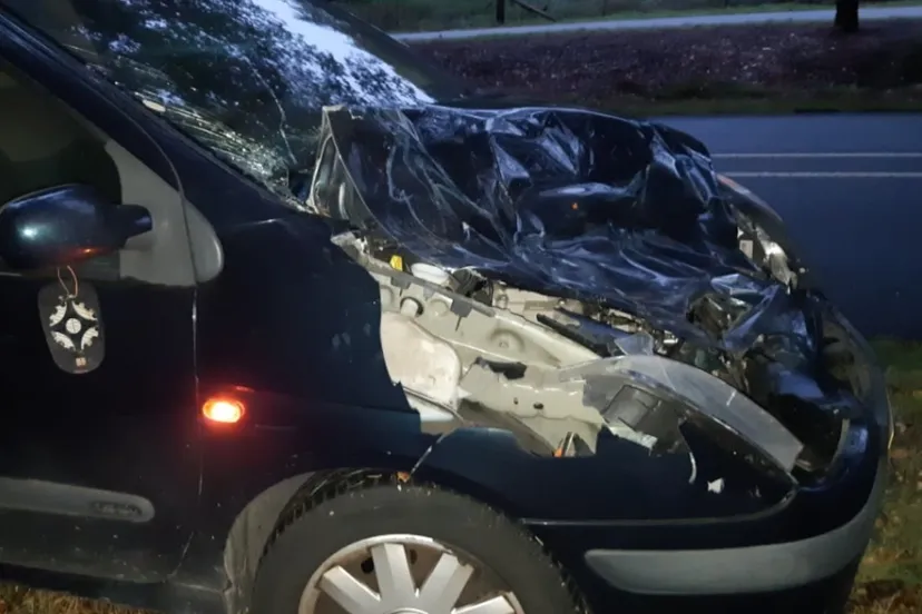 politie ede aanrijding hert