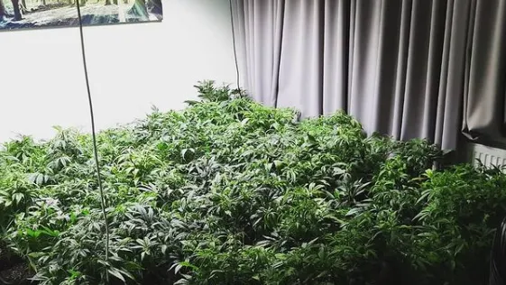 politie wijkagenten bennekom