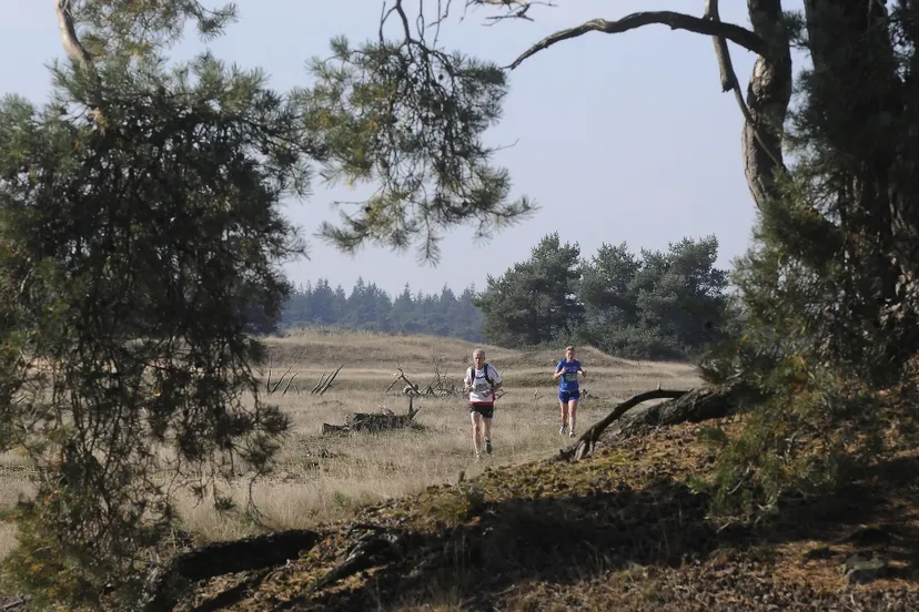 run hoge veluwe