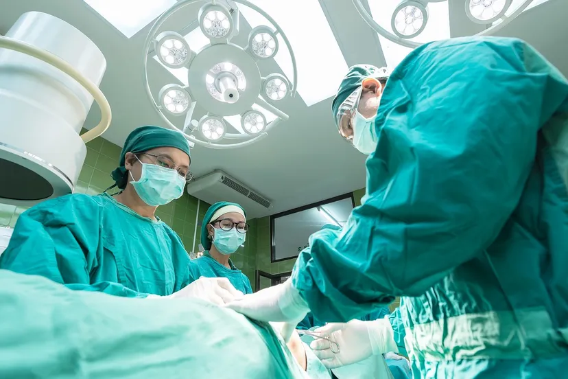 sasin tipchai pixabay