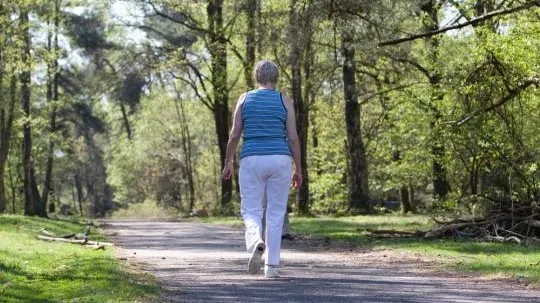 shutterstock 3161221