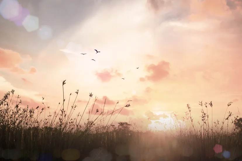 shutterstock 350846333