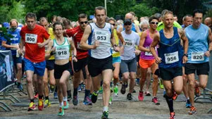 start1 ggl 2016 350px