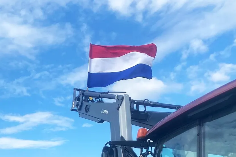 vlag