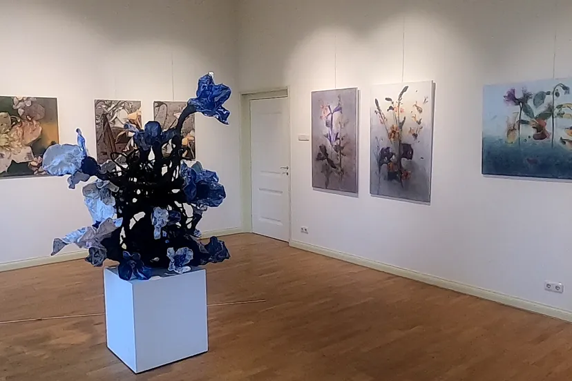 vlcsnap 2024 03 29 expositie in huis kernhm