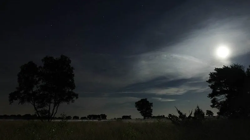 vollemaanswandeling 01