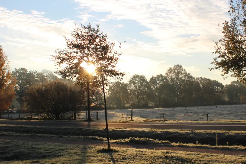 vorst op 20 nov 2022 lunteren