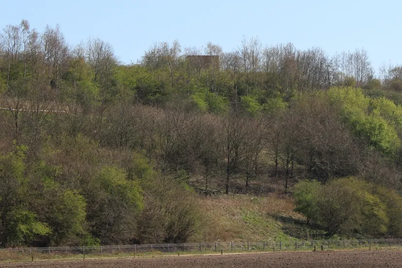 vuilnisbelt wekerom 14 april 2020 foto chris ouboter