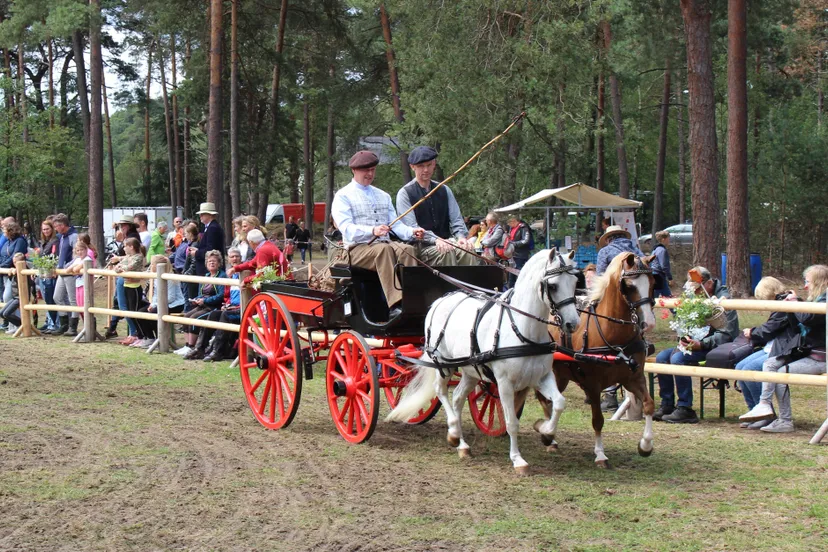 wagen weekend van het paard chris ouboter 2019