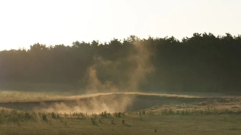 wandelen tussen nevel en novemberzon 01