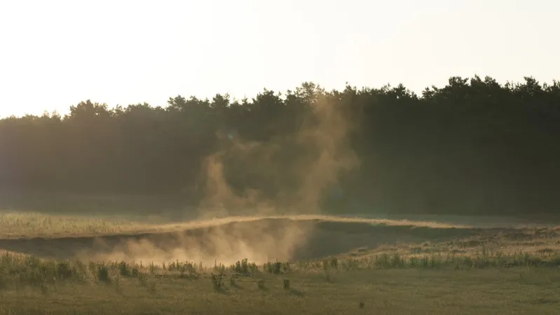 wandelen tussen nevel en novemberzon721