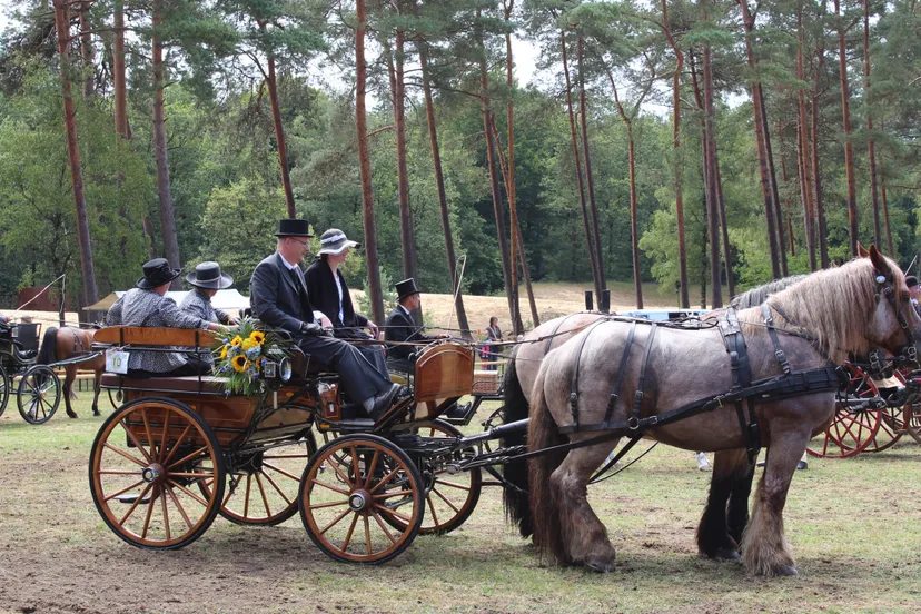 weken van het paard np de hoge veluwe foto chris ouboter