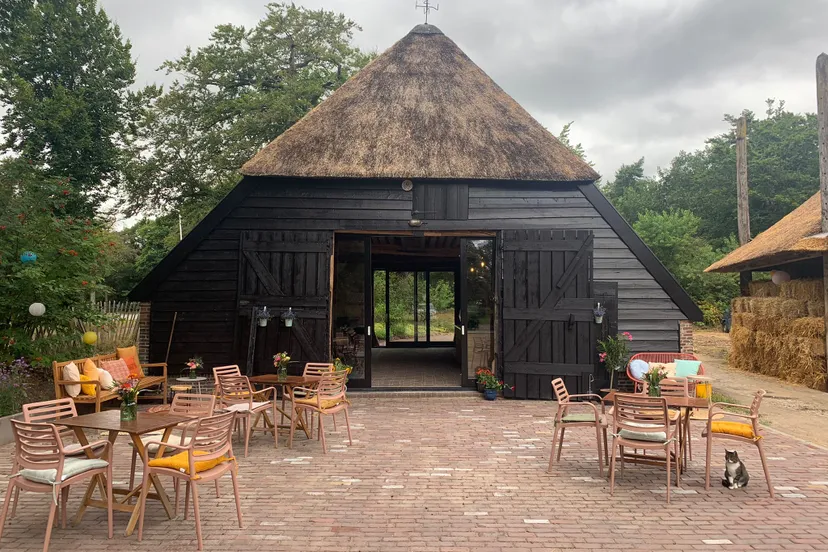 whatsapp image 2022 07 28 at 72822 pm