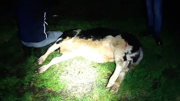 wijkagenten lunteren instagram