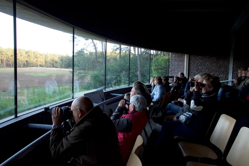 wildkansel met bezoekers nc veluwe