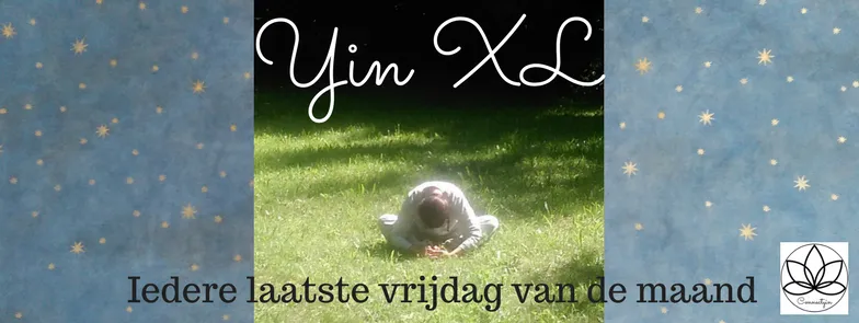 yin xl