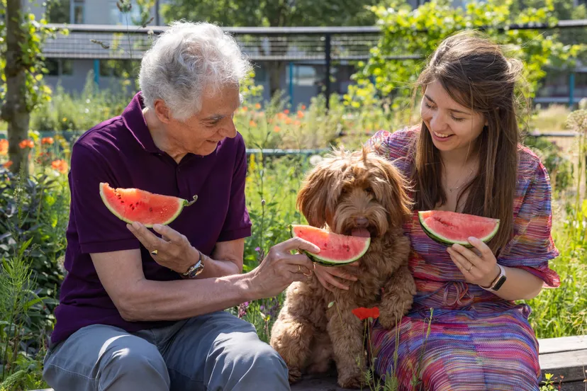 zomercampagne stiching oopoeh3