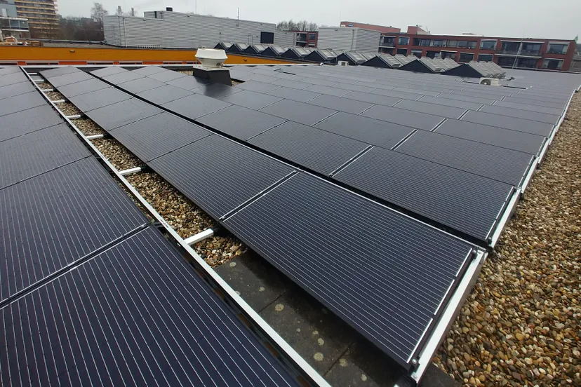 zonnepanalen op dag vilente pieter pauw 2