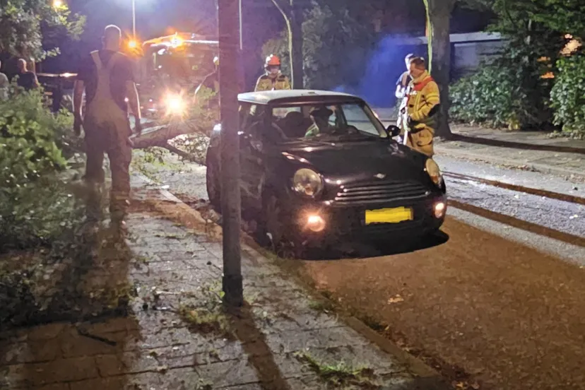 boom valt tussen twee autos asmedia