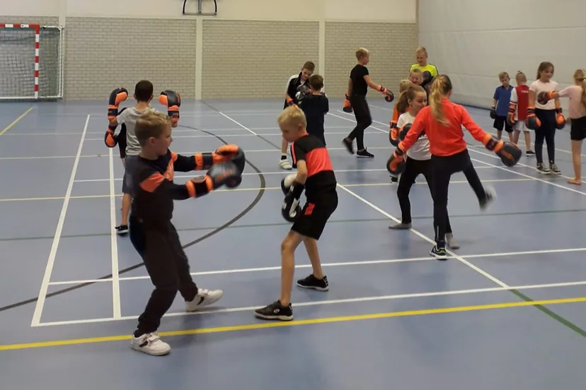 sam multisport boksen