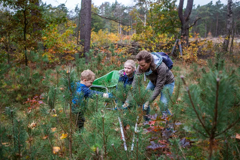 nationale natuurwerkdagen op 1 en 2 november foto landschappennl