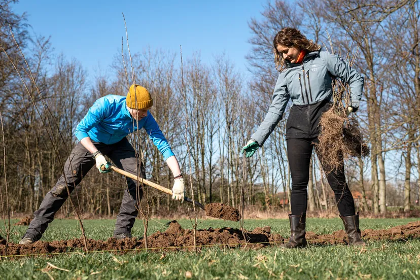 aanplanting website 030 marcel de bont fotografie