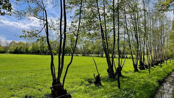 csm pb0012 natuur hoekelumse eng fff85b4214