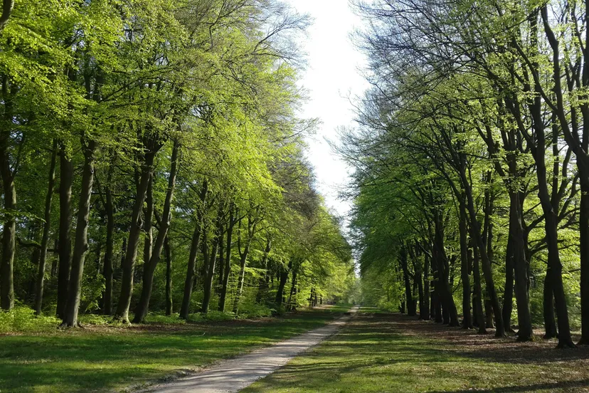 hamid bagheri 6mtofzg zcc unsplash