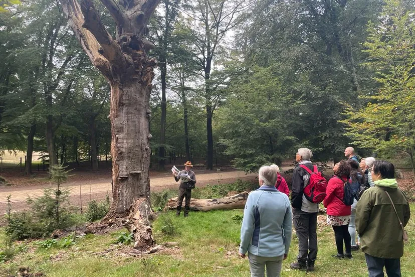 wandeluitdaging hoge veluwe2
