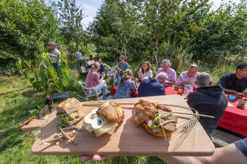 RhoSQ29Hx4s2XYhz6hhncY7RRWqDEgjUihFVmgt2